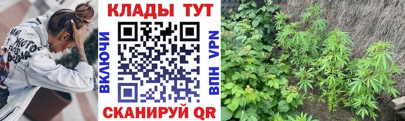 Все наркотики Балтийск omg зеркало  КОКАИН  ГАШ  MDMA  Меф мяу мяу  Конопля 