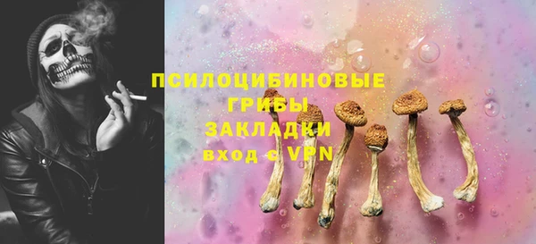 стаф Арсеньев