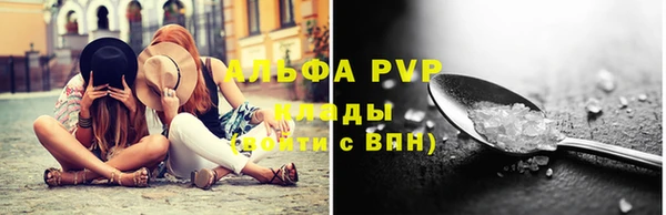 спиды Каменск-Шахтинский