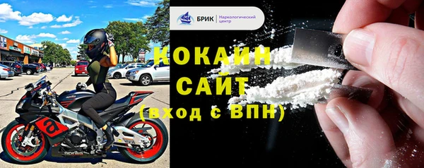 стаф Арсеньев
