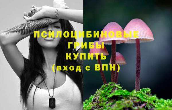 эйфоретик Армянск