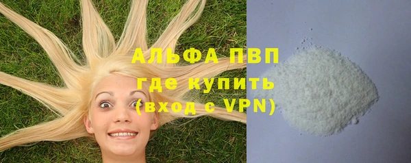 стаф Арсеньев