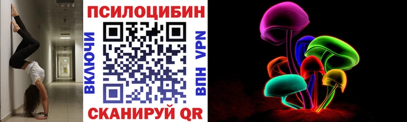 Псилоцибиновые грибы прущие грибы  хочу   Балтийск 